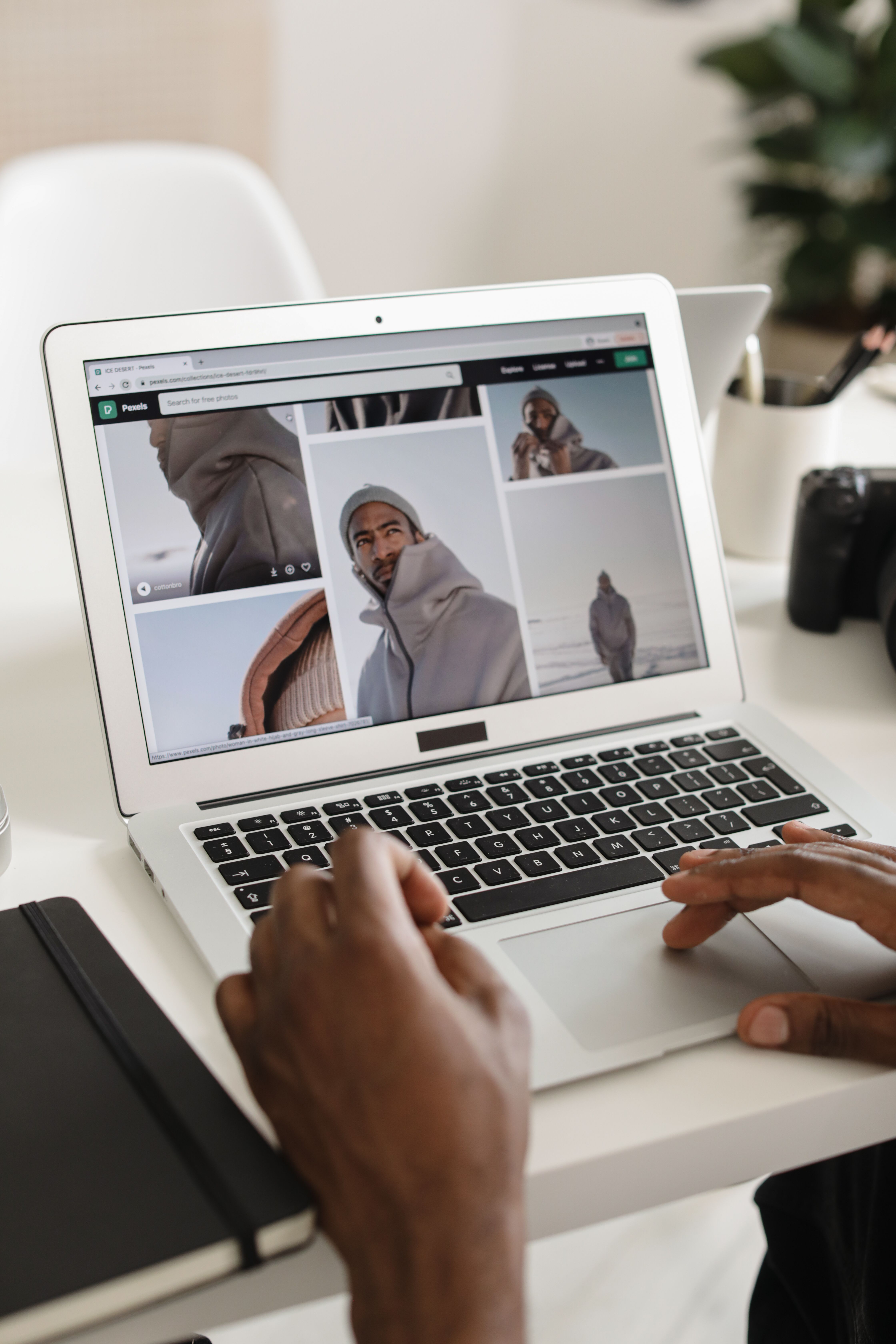 WordPress hosting management